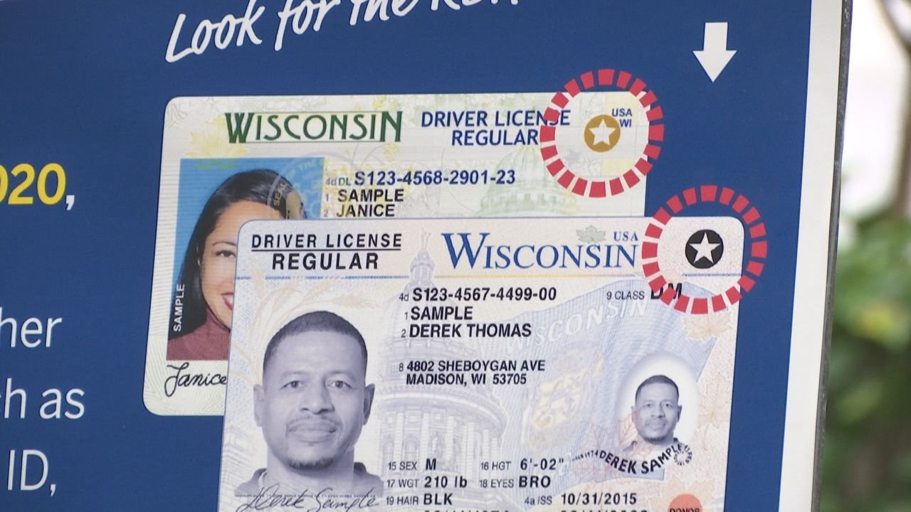 Driver License Regular